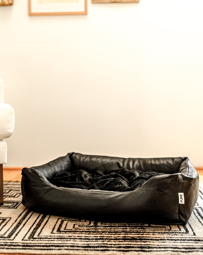 All Curled Up Black Structured Bed