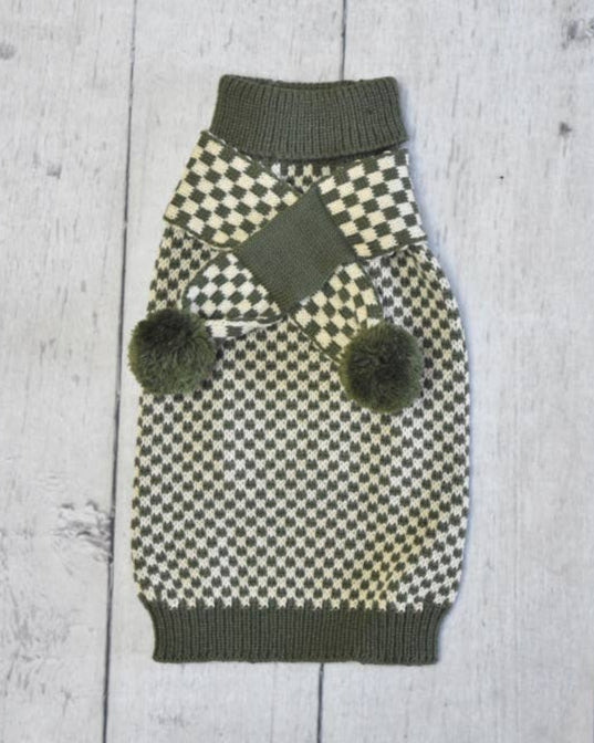 Small dog wearing green scarf, cozy knit for cold weather walks.