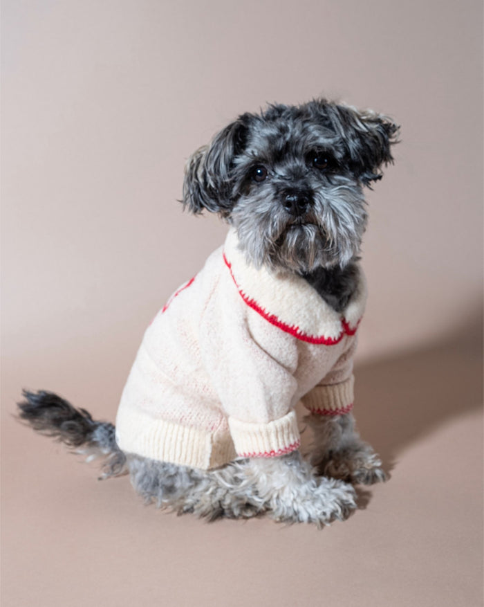 Ivory dog sweater with bow detail, designed for fashion-forward pups.