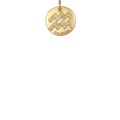 Aquarius Zodiac - Gold