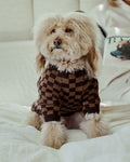 Arlo Brown Check Sweater Product Image. sweater for a pug