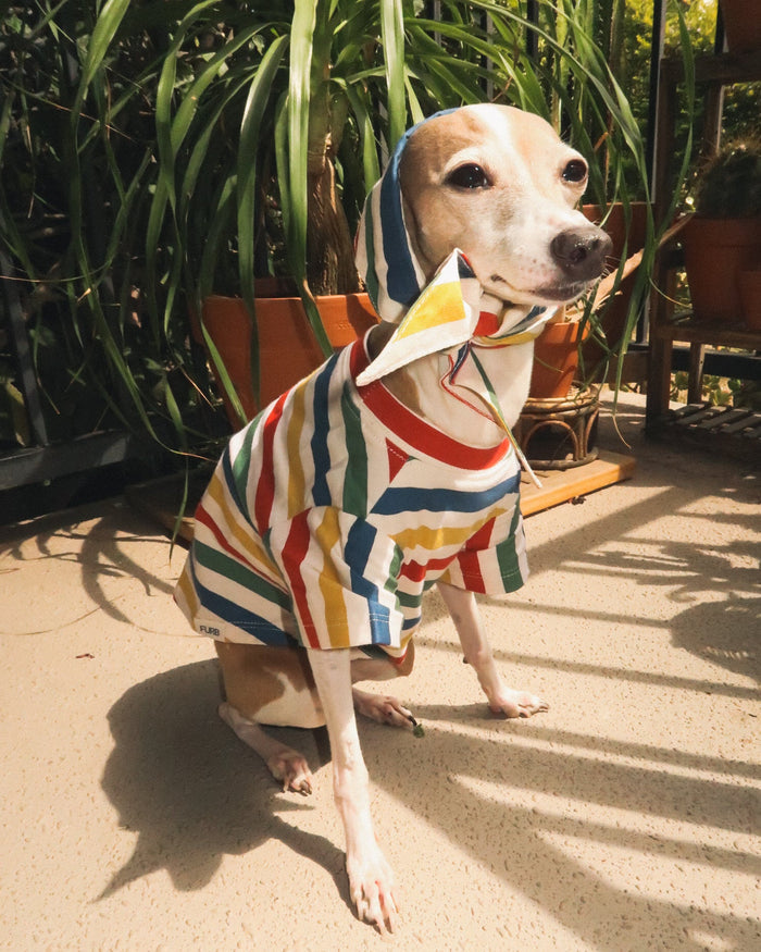 Beach Blanket Bingo Multi Striped Dog Bandana