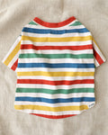 Multi striped dog t shirt inspired by colorful beach day pet style. Updated May 2026.
