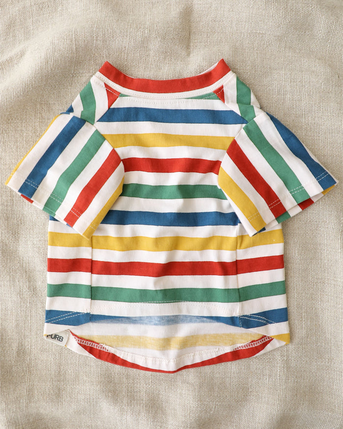 Bright striped dog apparel with lightweight relaxed fit for summer walks. Updated May 2026.