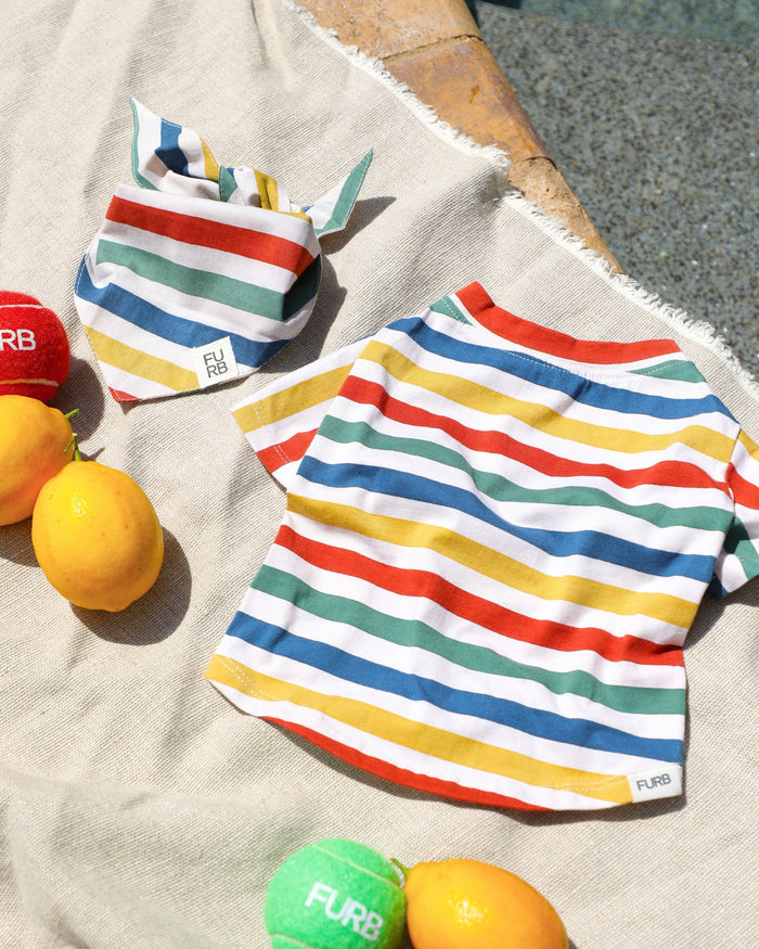 Comfortable rainbow stripe dog t shirt for spring and summer outfits. Updated May 2026.