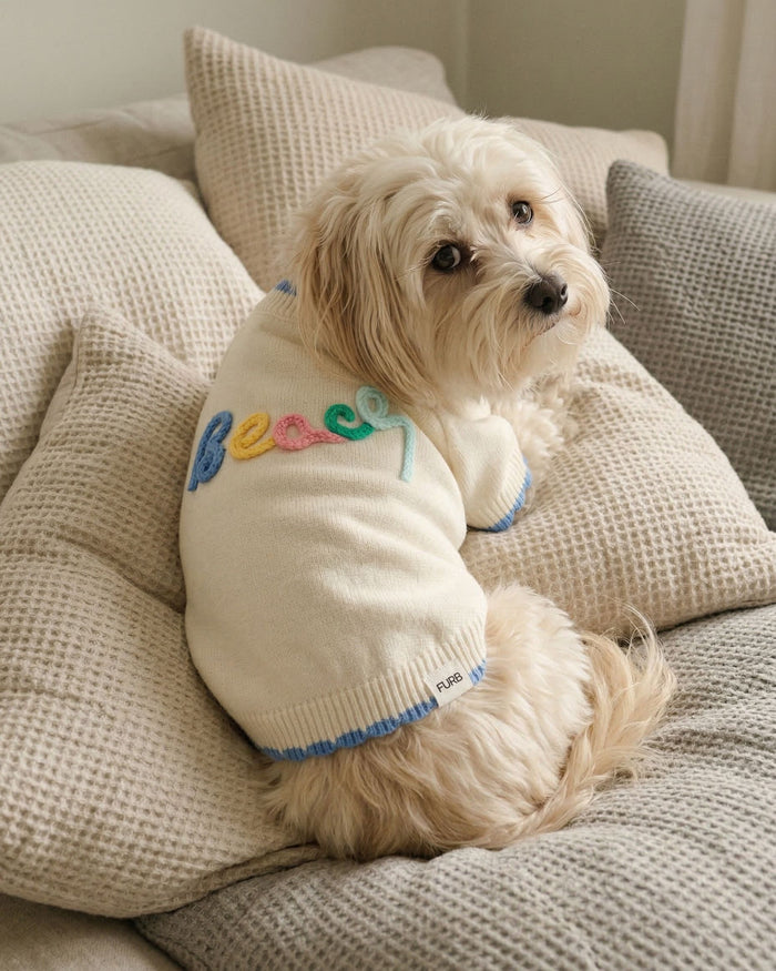 summer beach dog sweater embroidered beach knit dog sweater playful coastal pet outfit