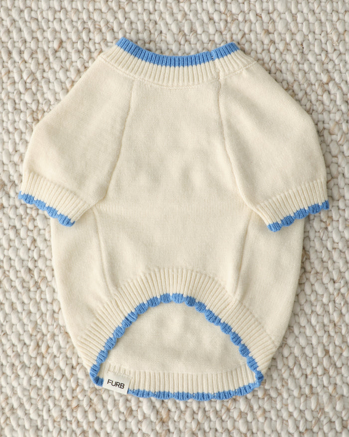 beach dog sweater close up colorful stitched lettering cozy lightweight dog apparel