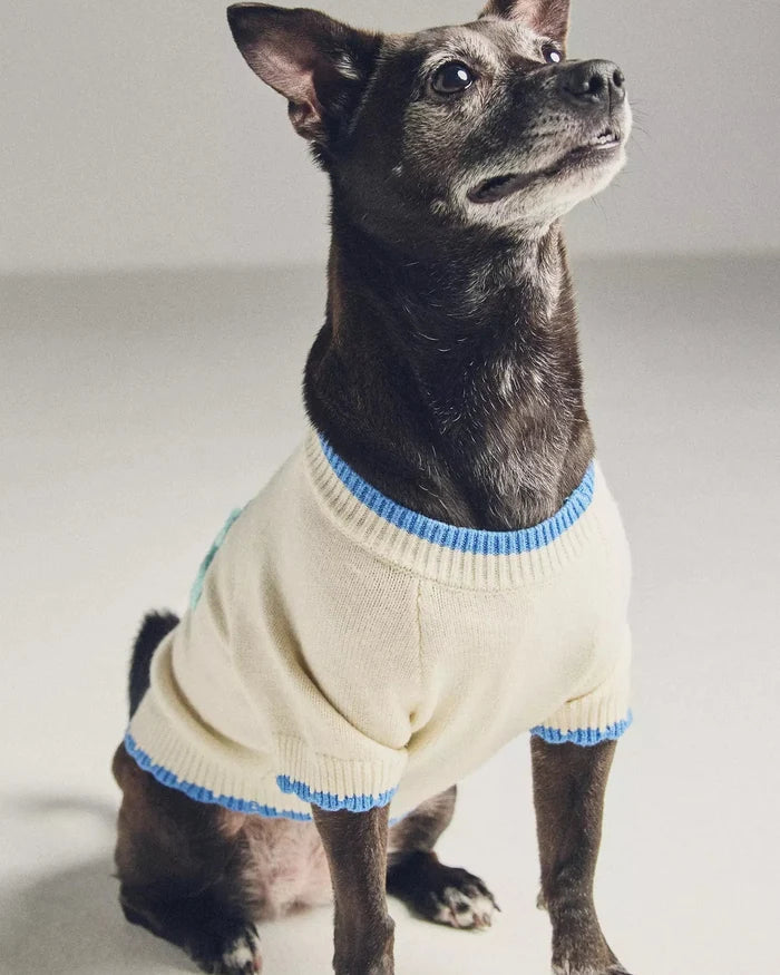 Beach Bum Embroidered Dog Sweater