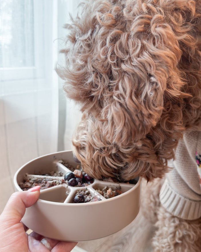 multifunction dog feeding bowl with textured surface, enrichment feeder for mental stimulation