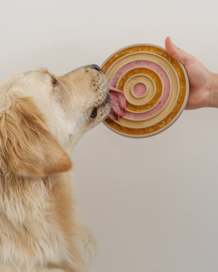 elevated dog bowl with slow feeding design, silicone pet feeder for daily use