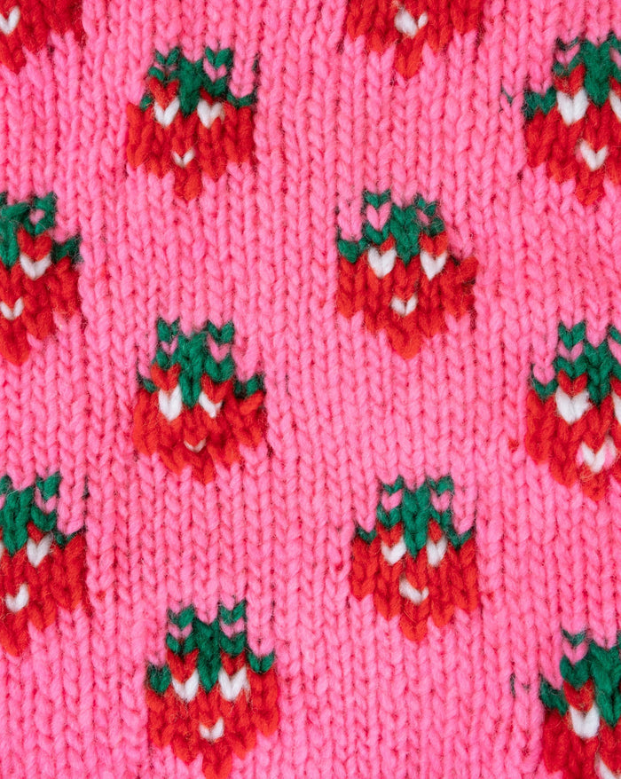 Berry Cute hot pink sweater for fashionable pups, perfect for Bichons or Chihuahuas.