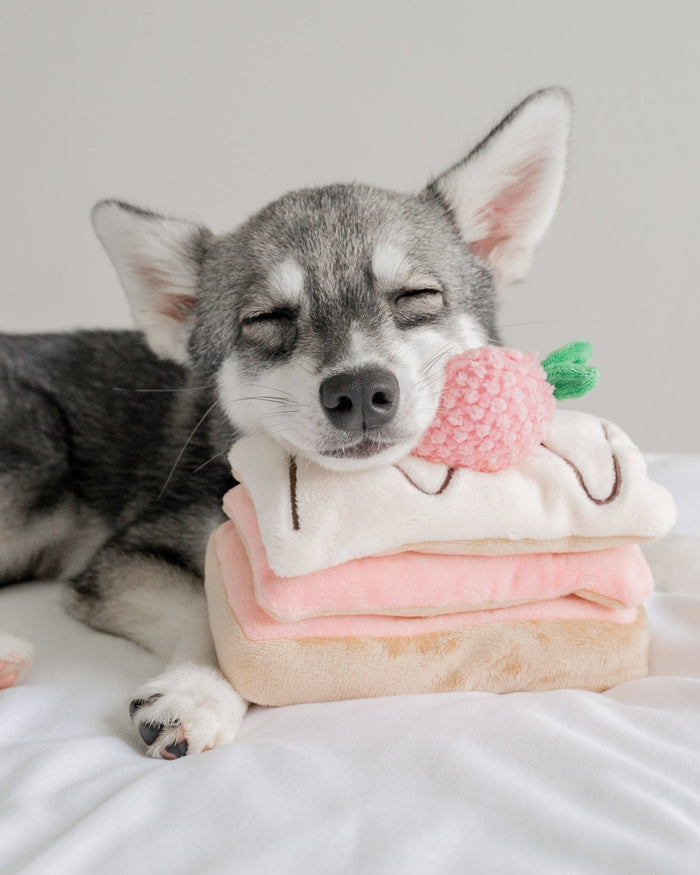 strawberry dog toy soft plush strawberry topper enrichment toy for sniff and search play