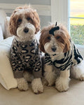 Soft knit leopard patterned dog sweater offering comfort and personality, ideal for casual wear, loved by dachshunds, cavapoos, and Boston terriers