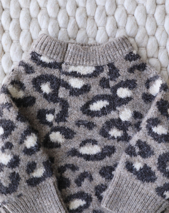 Stylish leopard crewneck dog sweater with a relaxed fit, easy to wear daily, ideal for poodles, shih tzus, and mixed breeds