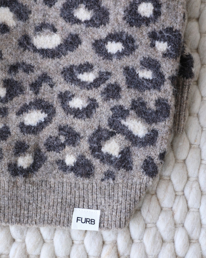 Everyday leopard print dog knit combining comfort and modern style, perfect for beagles and companion dogs