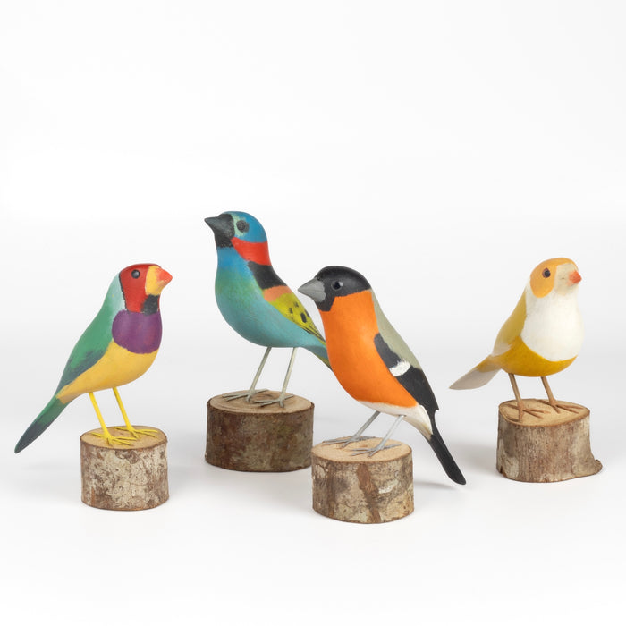 A selection of wood wooden and colorful birds from Brazil.