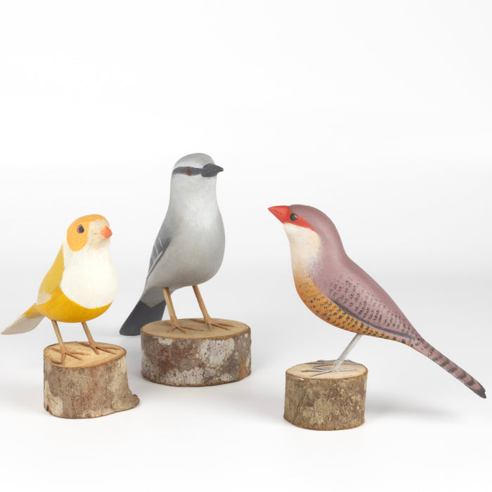 A selection of handmade and colorful wooden decorative birds from Brazil.