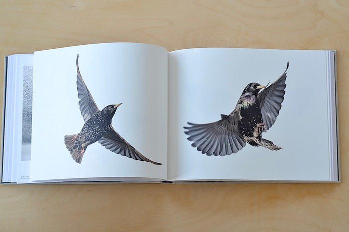Black Sun book by Søren Solkær.