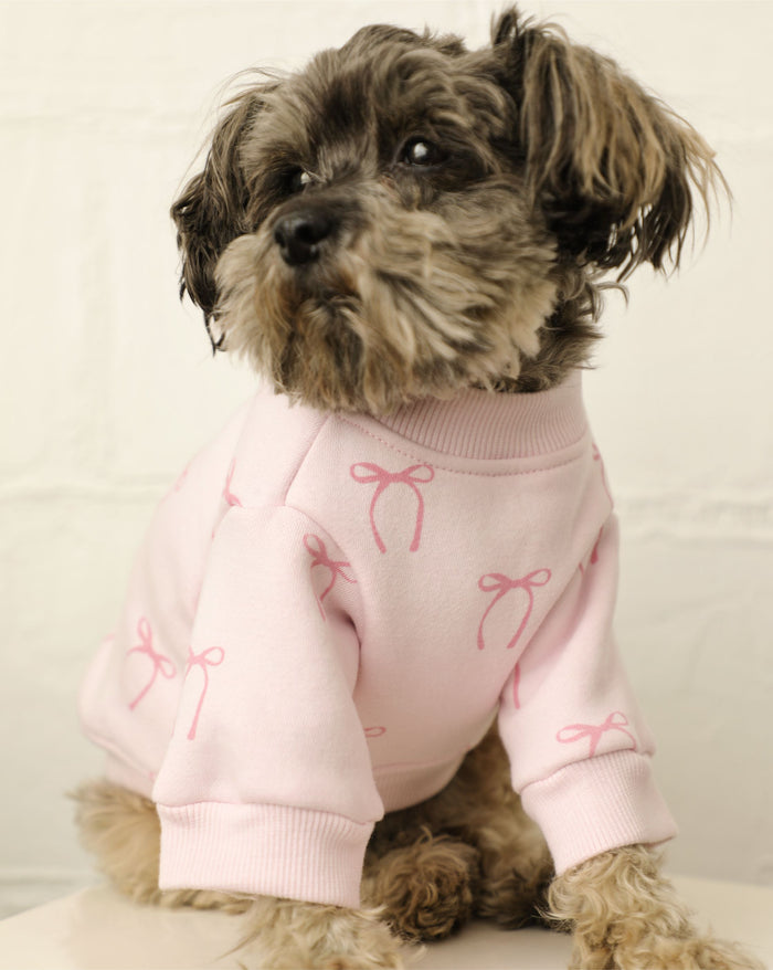 Blushing Babe Pink Bow Dog Sweatshirt