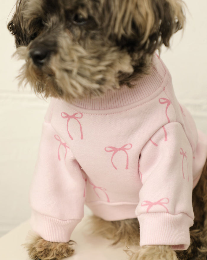 Blushing Babe Pink Bow Dog Sweatshirt