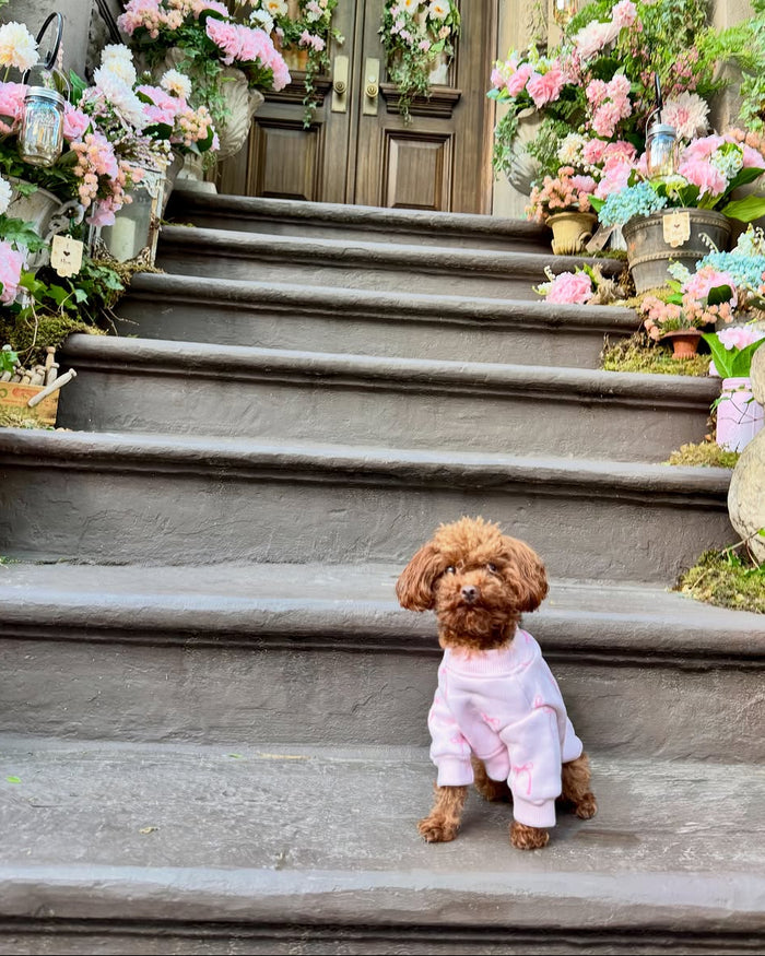 Blushing Babe Pink Bow Dog Sweatshirt
