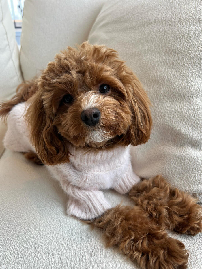 Billie Blush Eyelash Knit Turtleneck Product Image Detail. Beagle pink shirt.