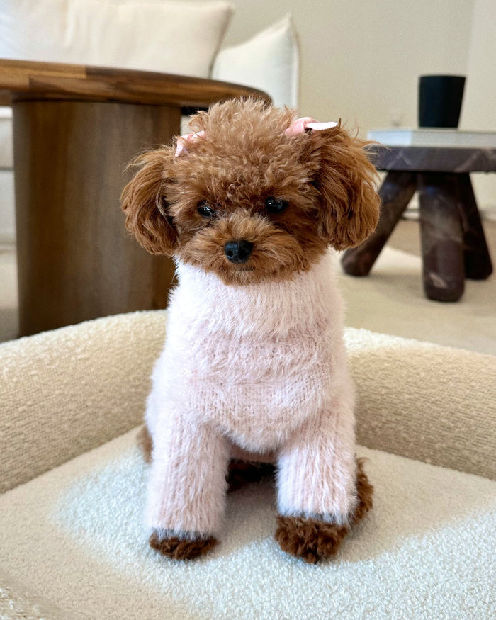 Bobbi Blush Eyelash Knit Dog Sweater