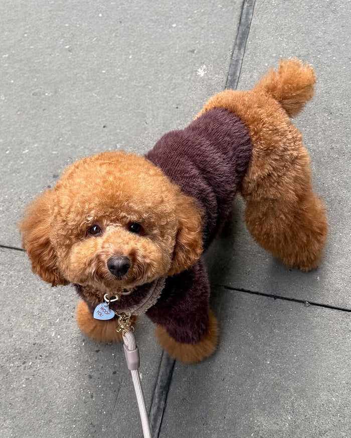 brown eyelash knit dog sweater social media customer image
