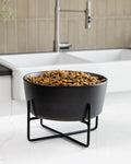 Bone Appétit Black Elevated Dog Bowl, ceramic and ergonomic, perfect for small Pugs or French Bulldogs.