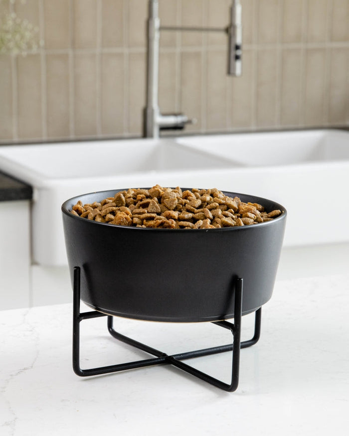 Bone Appétit Black Elevated Dog Bowl, ceramic and ergonomic, perfect for small Pugs or French Bulldogs.