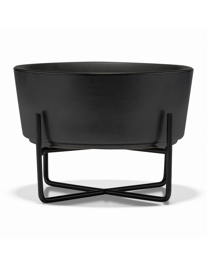 Black elevated dog bowl designed for healthy posture, ideal for small Pomeranians or Shih Tzus.