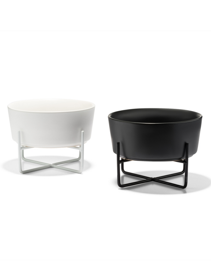 Elegant Bone Appétit white dog bowl, ideal for small-to-medium dogs like French Bulldogs or Beagles, elevates daily mealtime.