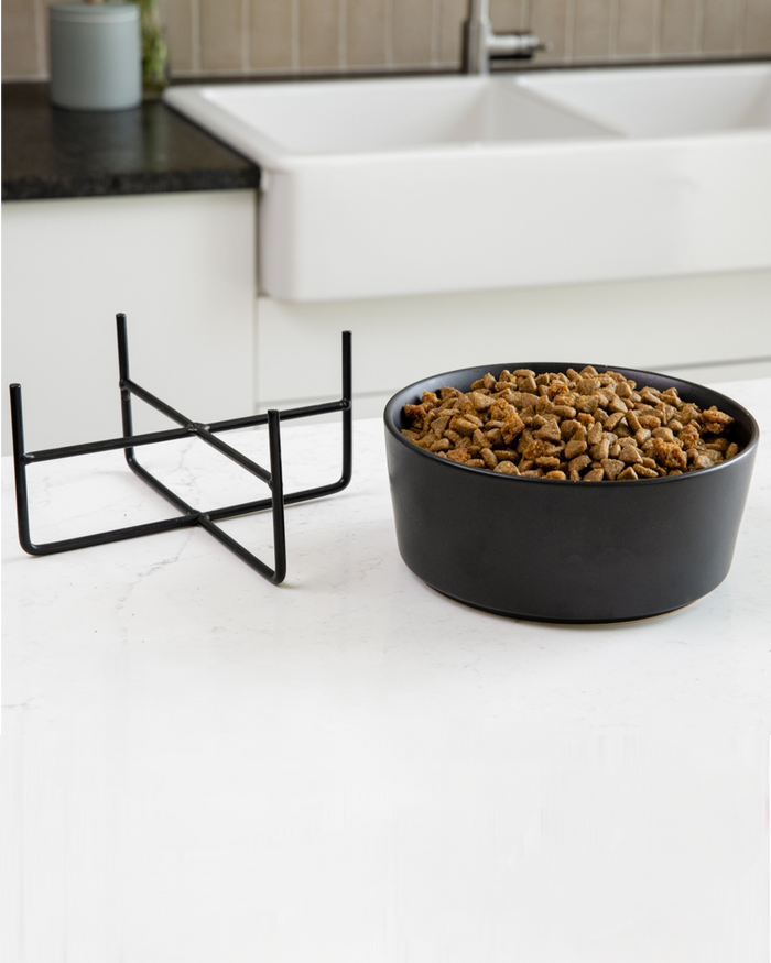 Elevated black dog bowl with ceramic finish, suitable for Miniature Schnauzers or Pugs.