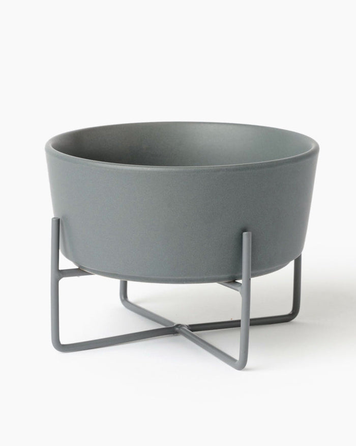 Bone Appétit Grey Elevated Dog Bowl for small breeds like Pomeranians or Maltese, stylish and functional for daily feeding.