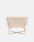 Bone Appétit Buttercream Elevated Dog Bowl for small dogs such as Pugs and Shih Tzus, designed for comfort and style.