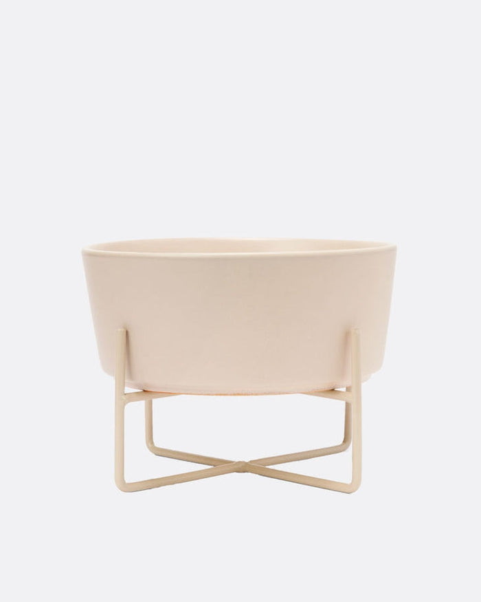 Bone Appétit Buttercream Elevated Dog Bowl for small dogs such as Pugs and Shih Tzus, designed for comfort and style.