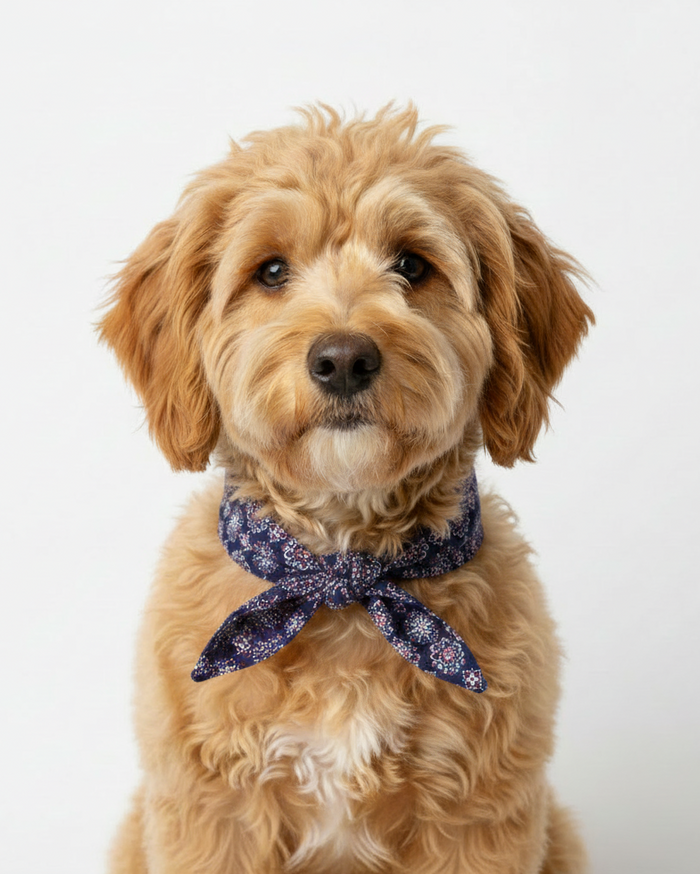 Bone to be Blue Classic Dog Necktie