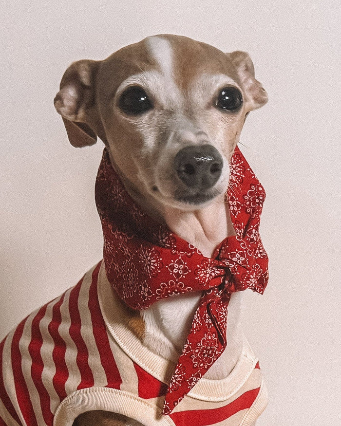 Bone to be Red Classic Dog Necktie
