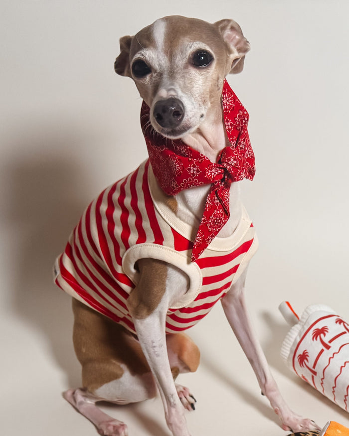 Bone to be Red Classic Dog Necktie