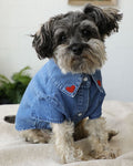 Boot Scootin' Denim Dog Shirt, soft denim dog shirt with embroidered heart collar and pearl button snaps for small to medium breed dogs
