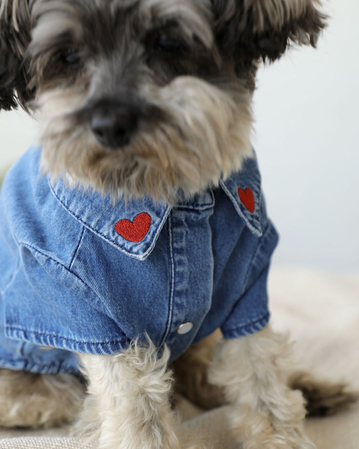 Soft denim dog clothing with heart embroidery and pearl-style snaps, designed for small to medium breed dogs