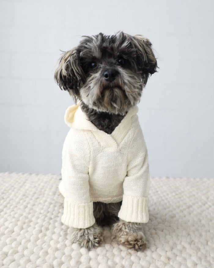 Minimalist neutral dog hoodie designed for everyday comfort and easy layering, soft and cozy, great for French bulldogs and pugs