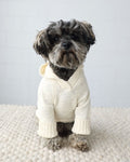 Minimalist neutral dog hoodie designed for everyday comfort and easy layering, soft and cozy, great for French bulldogs and pugs