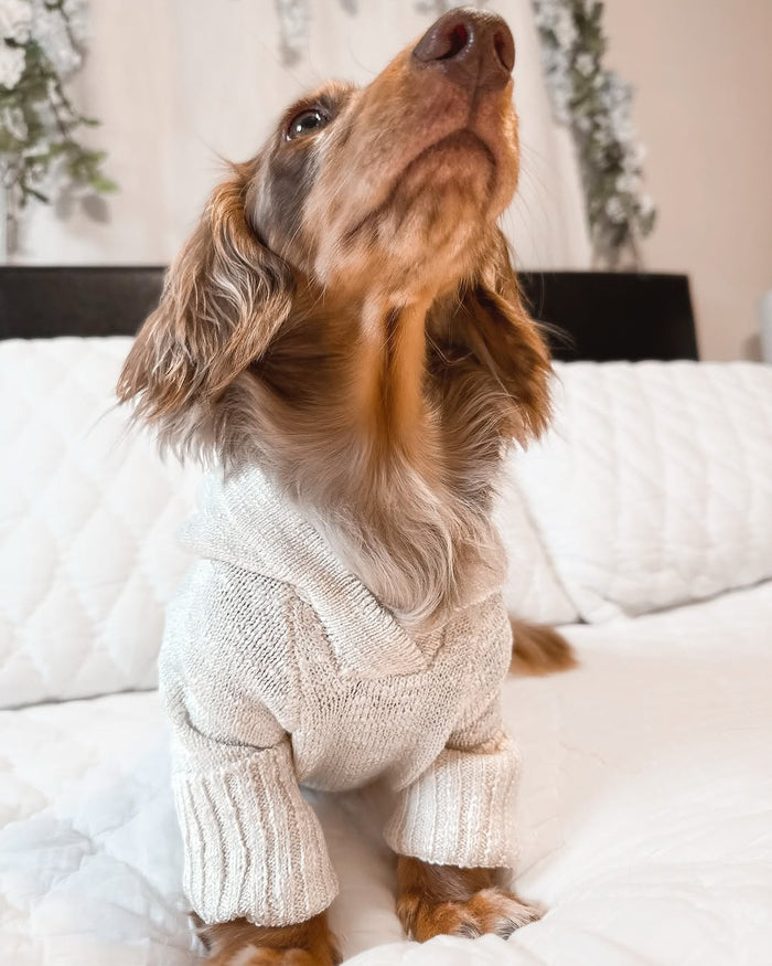 Bowie Ivory Slub Knit Hoodie