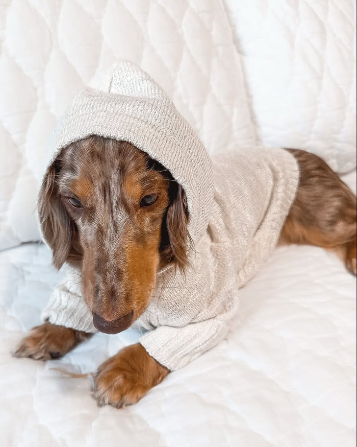 Bowie Ivory Slub Knit Hoodie
