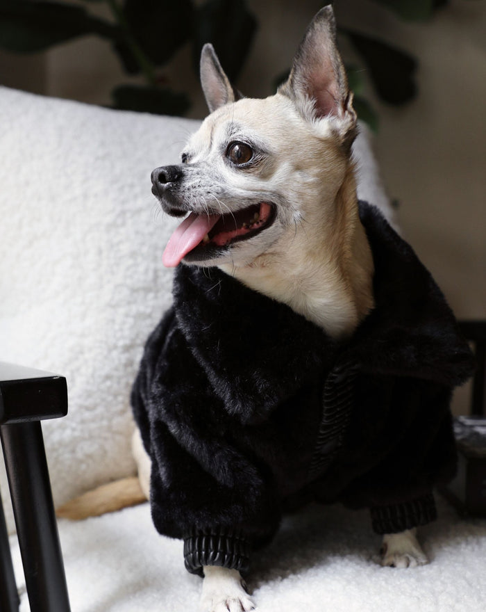 silky soft black faux fur and buttery ribbed leather accents. Matte, soft-feel snap buttons line the leather placket, leading to an oversized fur collar that wraps your fur babe in a warm hug. . best winter coat for chihuahua