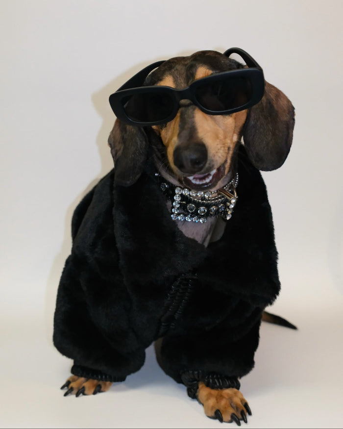 Broadway Black Faux Fur Dog Jacket