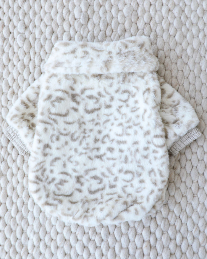 Plush dog jacket with a soft leopard-inspired texture, cozy and stylish, loved by dachshunds, cavapoos, and Boston terriers