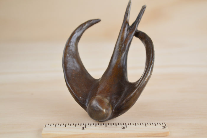 Bronze Object "Coming Home" (flying swallow) by Anne Ricketts.