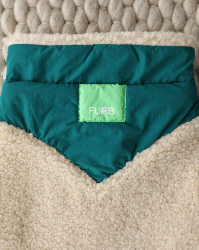 Cozy sherpa dog vest with bold green color for outdoor adventures, great for French Bulldogs, Mini Poodles, Beagles, and medium sized breeds